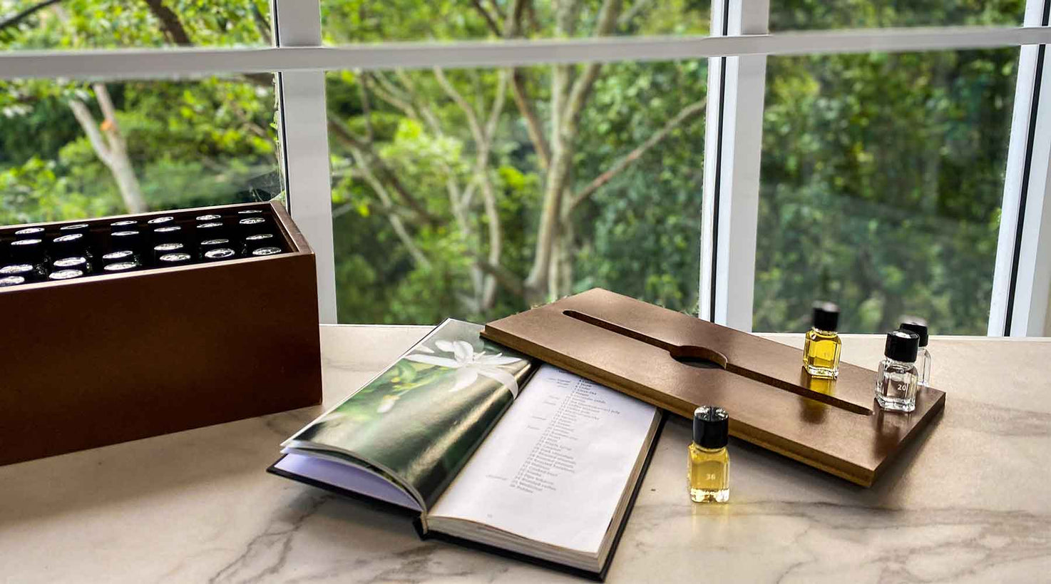 Aromas del café