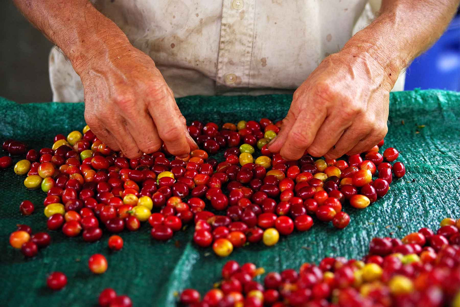 Café de México