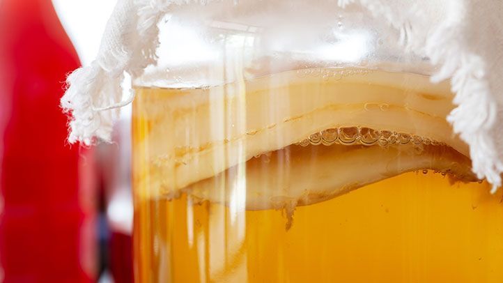 Kombucha
