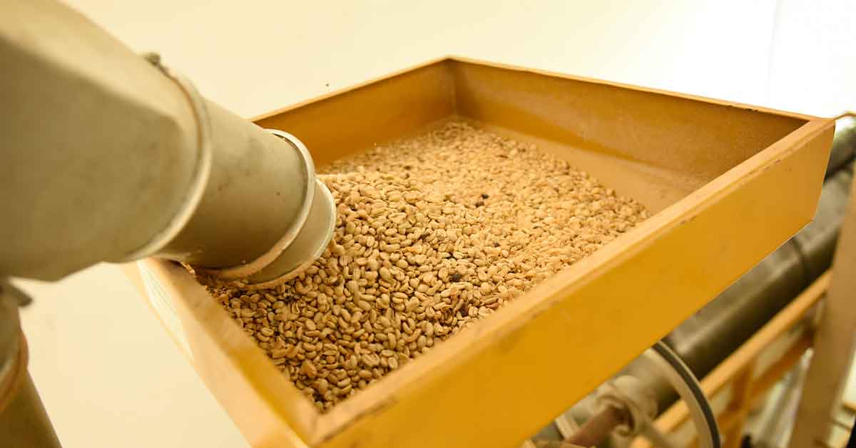 Beneficio Seco del Café