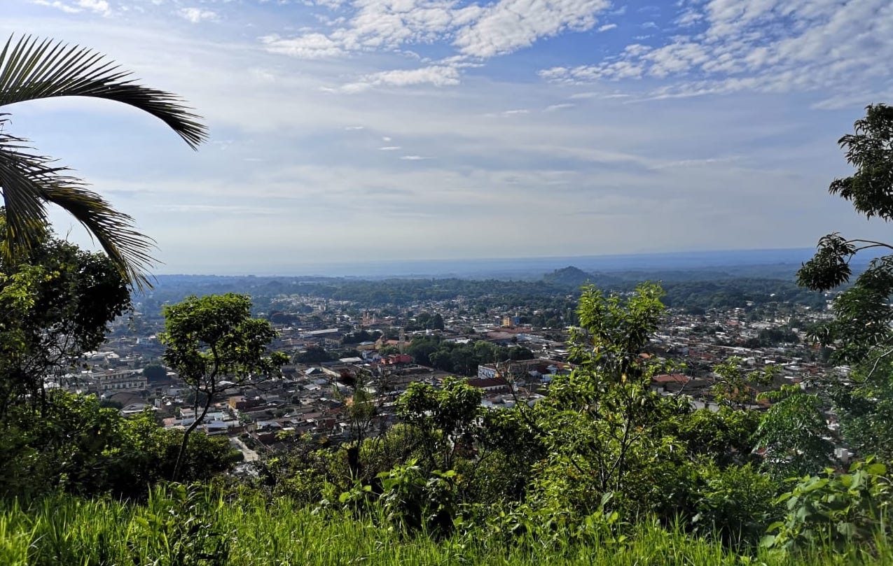 Coatepec, Café de México
