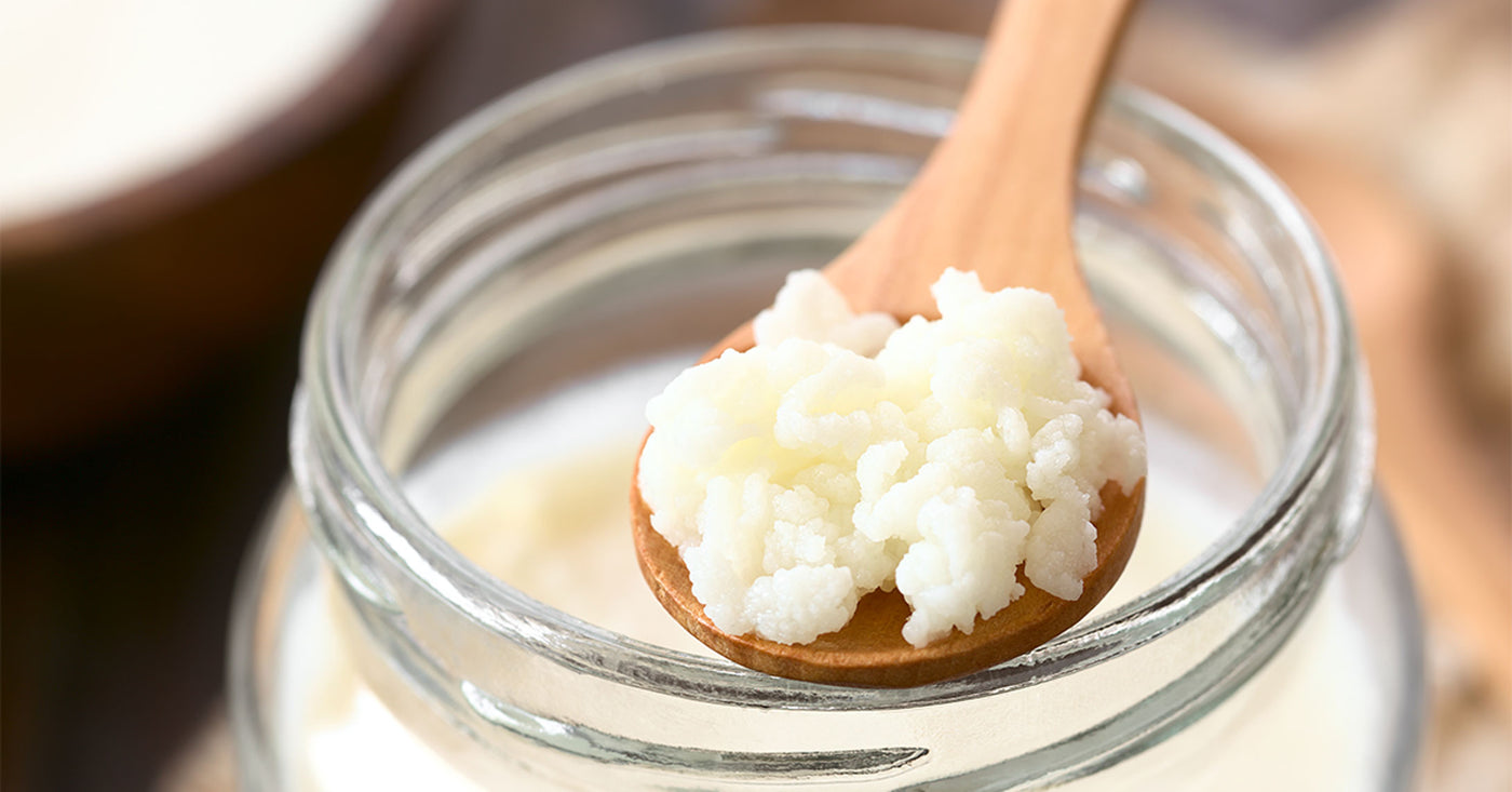 Fermentación Láctica