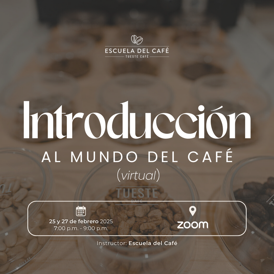 Introducción al mundo del café (virtual)