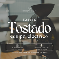 Taller: Tostado equipo eléctrico