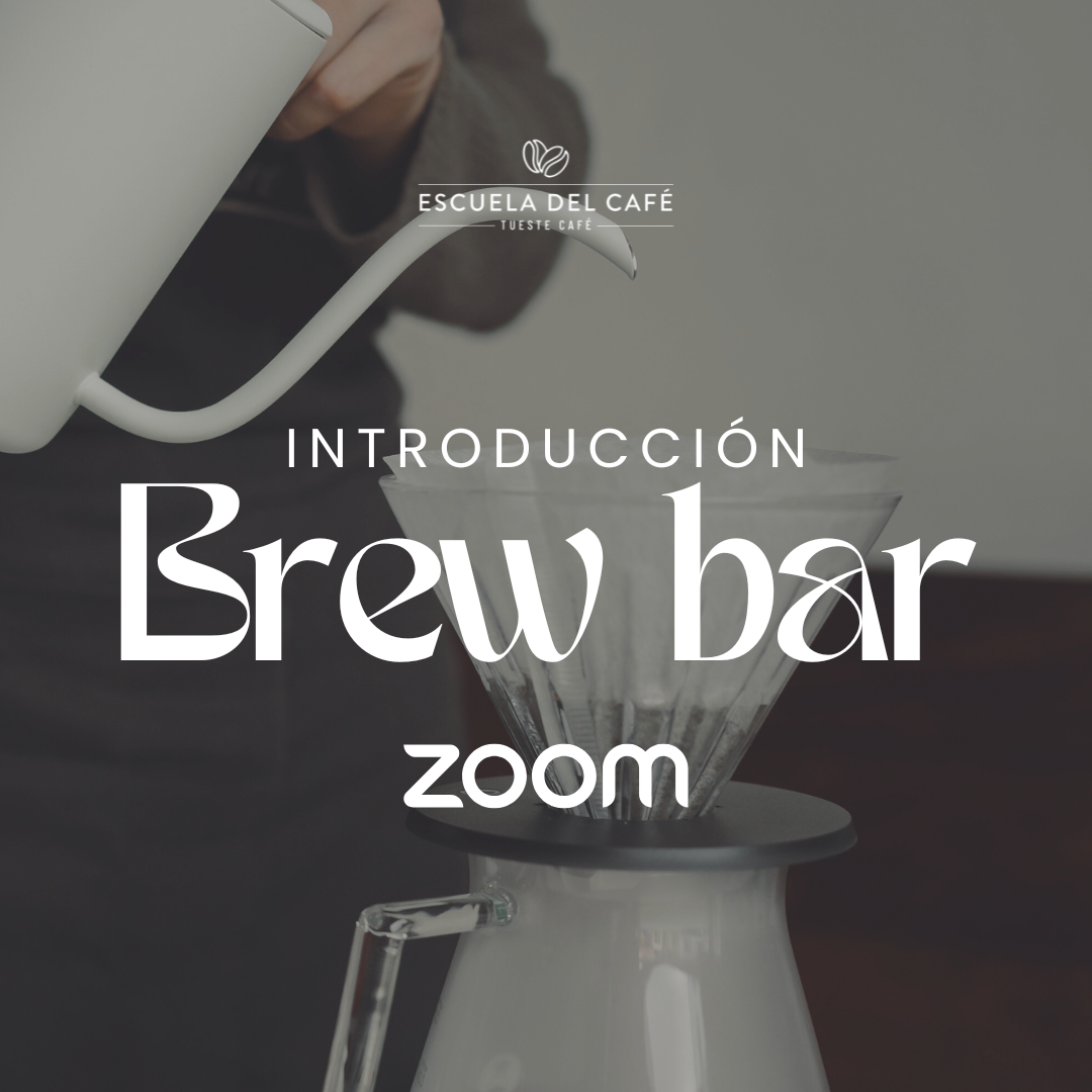 Introducción: Brew bar (virtual)