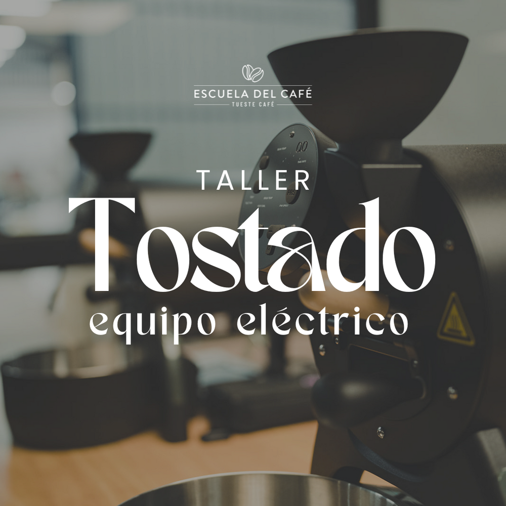 Taller: Tostado equipo eléctrico