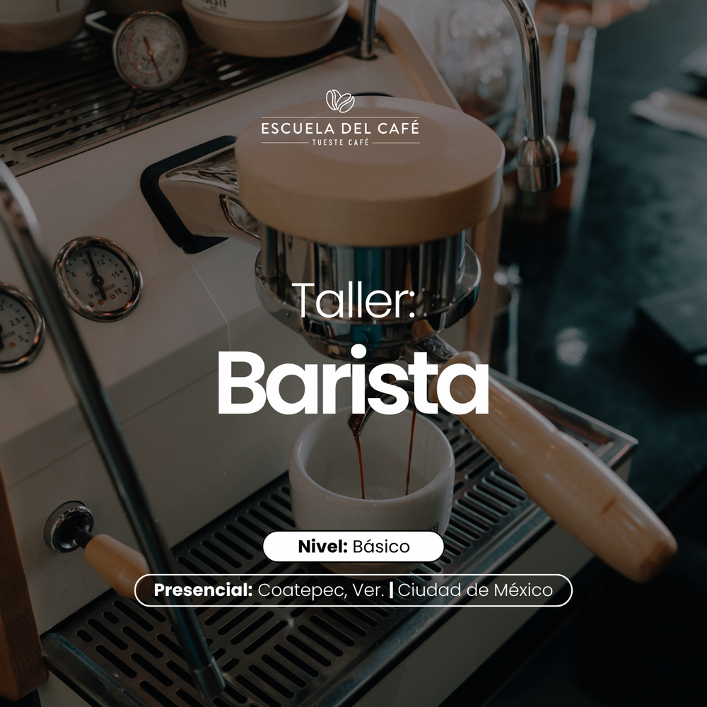 Taller: Barista básico