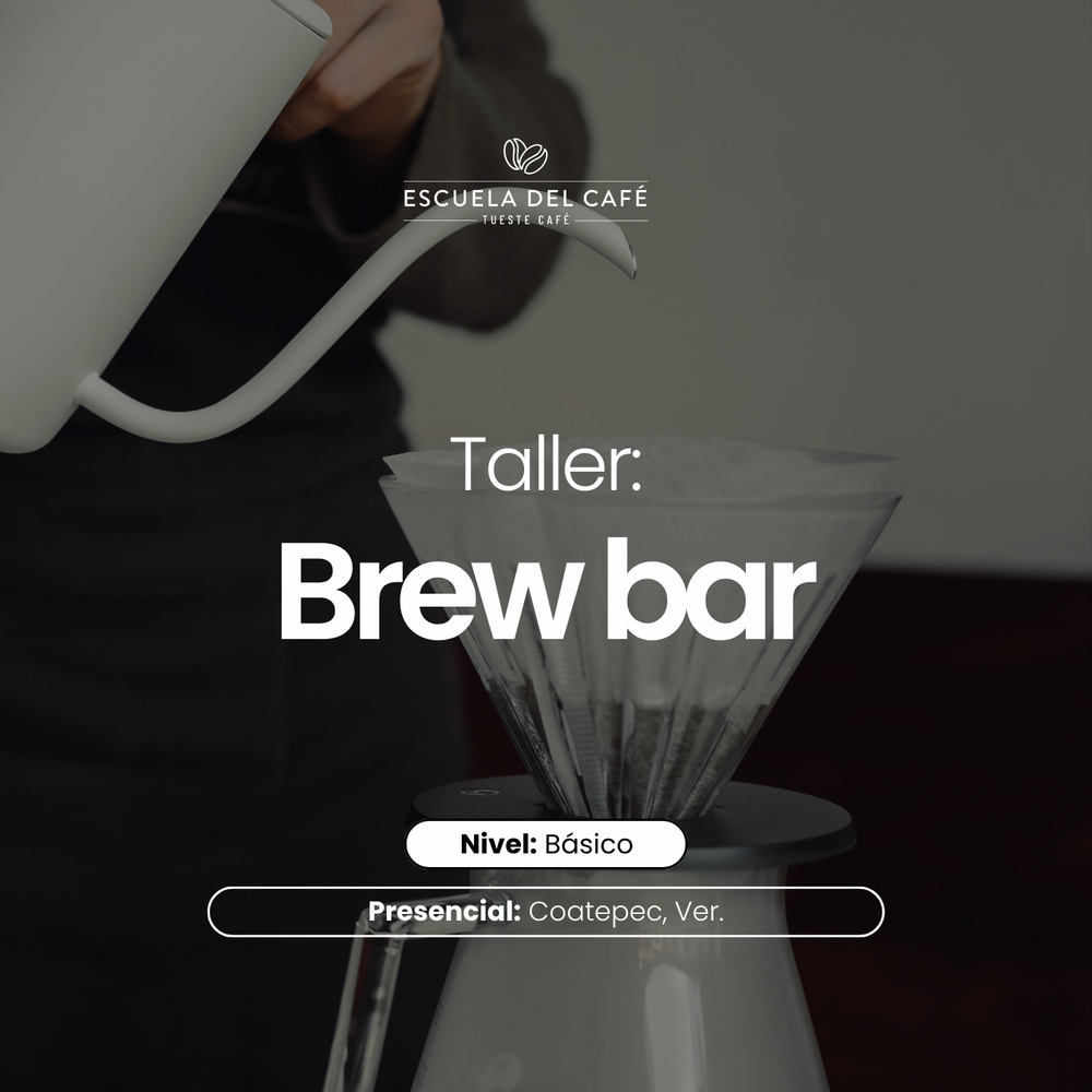 Taller: Brew bar | Métodos de extracción