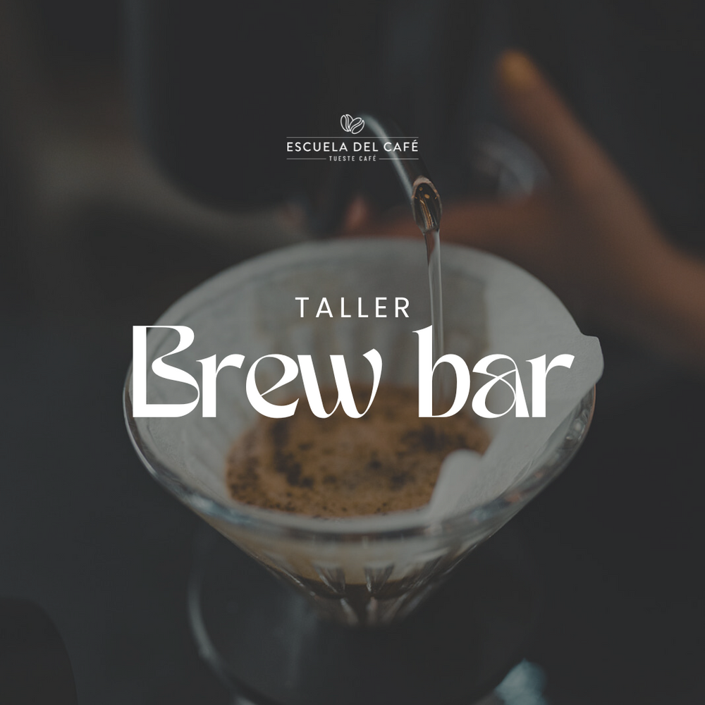 Taller: Brew bar | Métodos de extracción