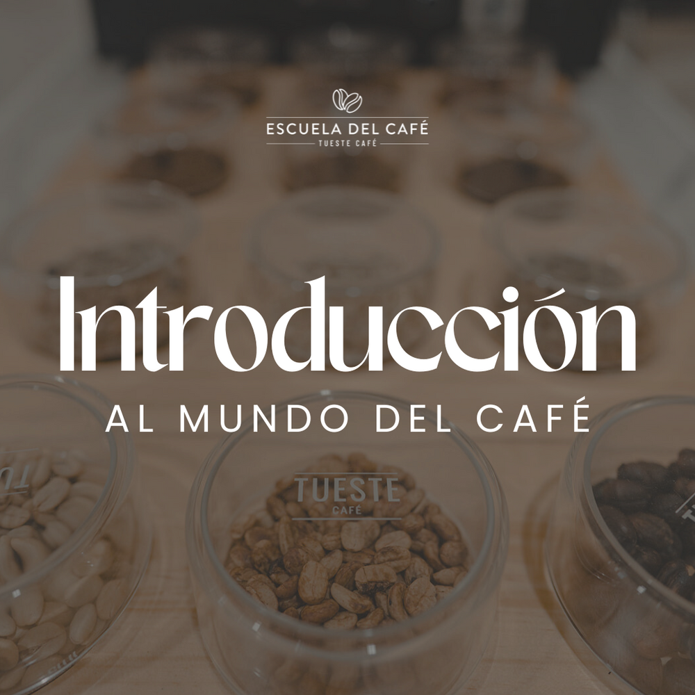 Introducción al mundo del café