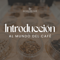 Introducción al mundo del café