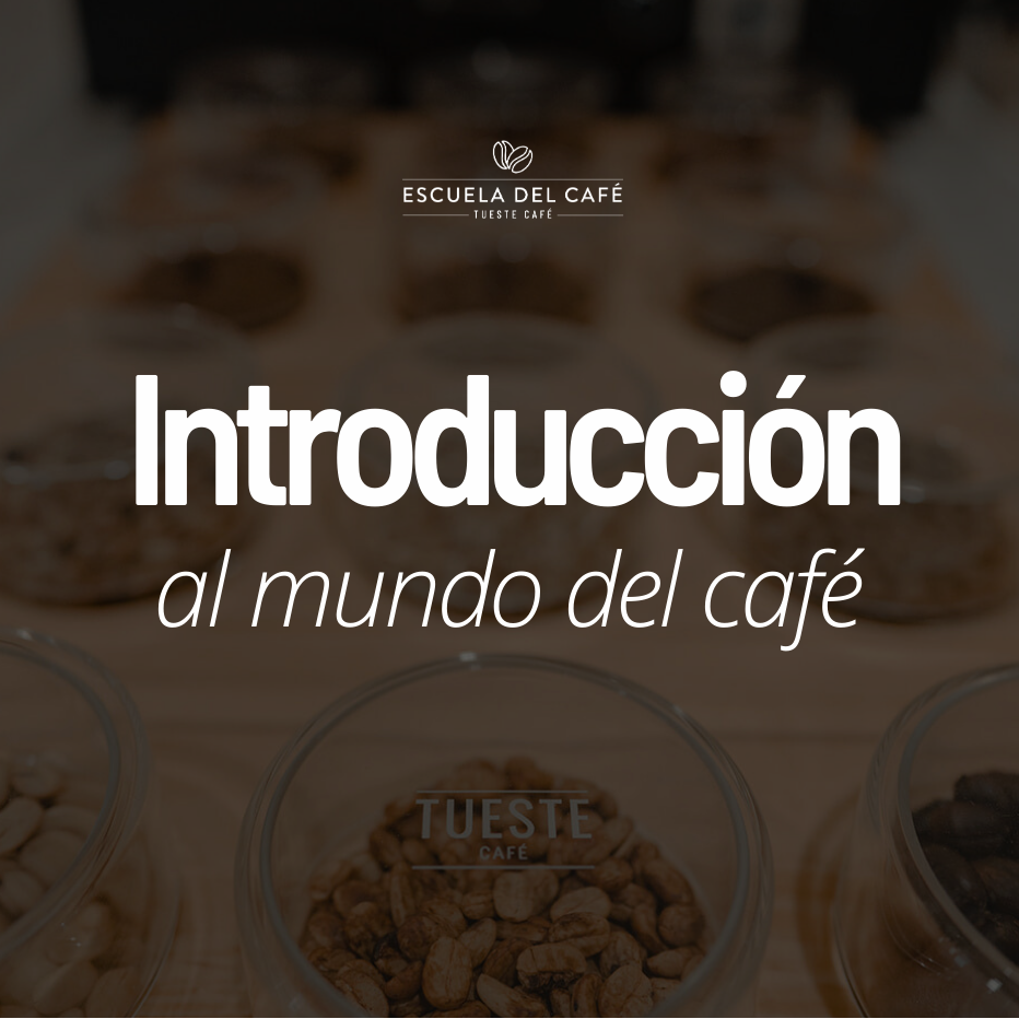 Introducción al mundo del café