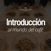 Introducción al mundo del café