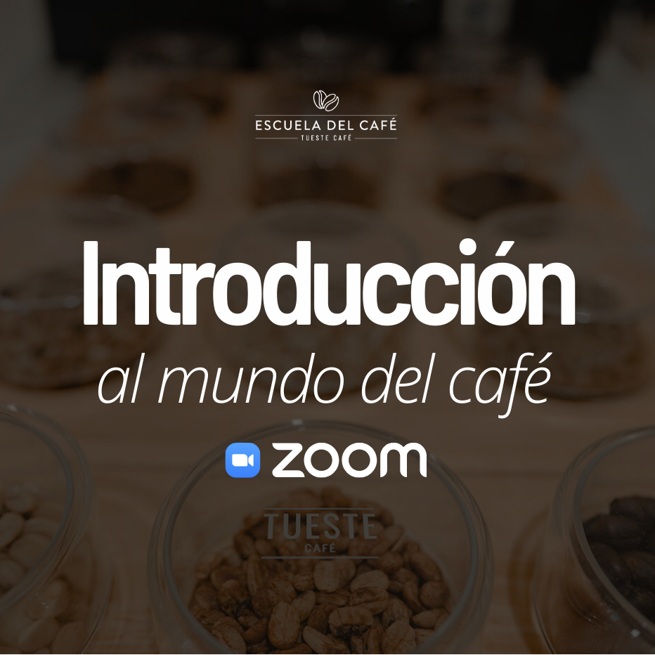 Introducción al mundo del café (virtual)