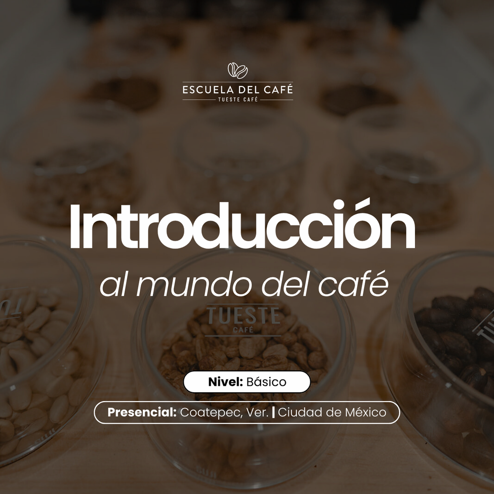 Introducción al mundo del café