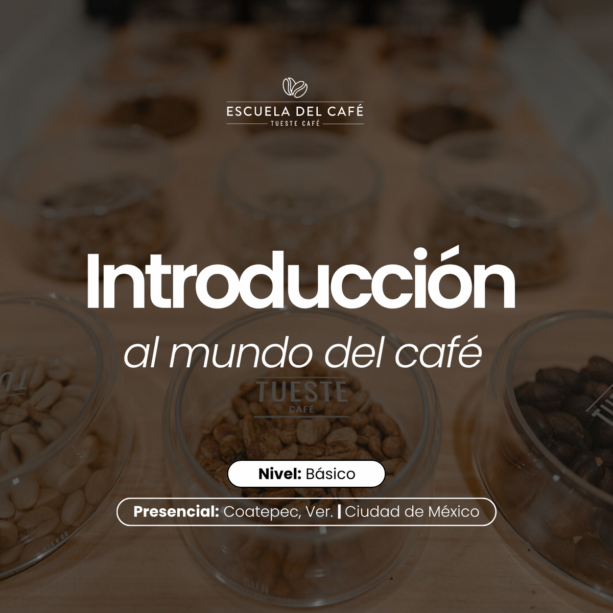 Introducción al mundo del café