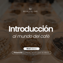 Introducción al mundo del café