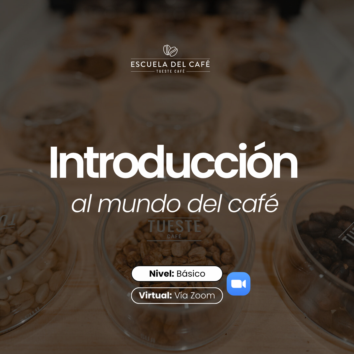 Introducción al mundo del café (virtual)