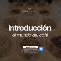 Introducción al mundo del café (virtual)