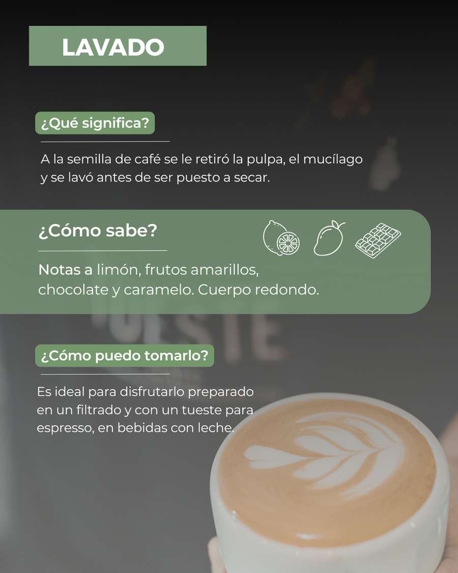 Café de Especialidad Lavado