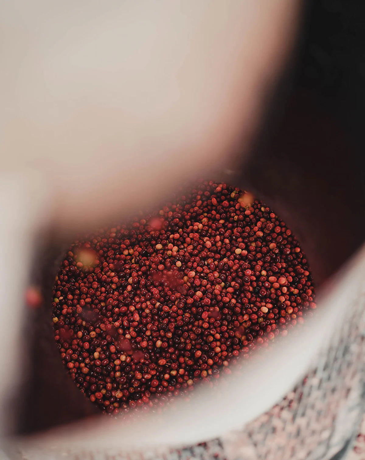 Café Edición Especial de Navidad