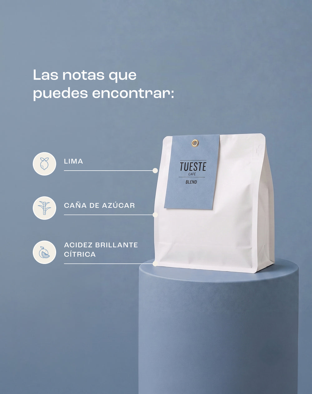 Café de Especialidad Blend
