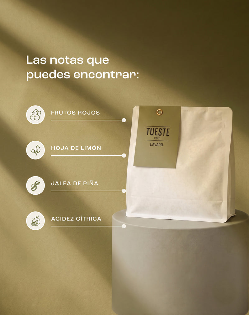 Café de Especialidad Lavado