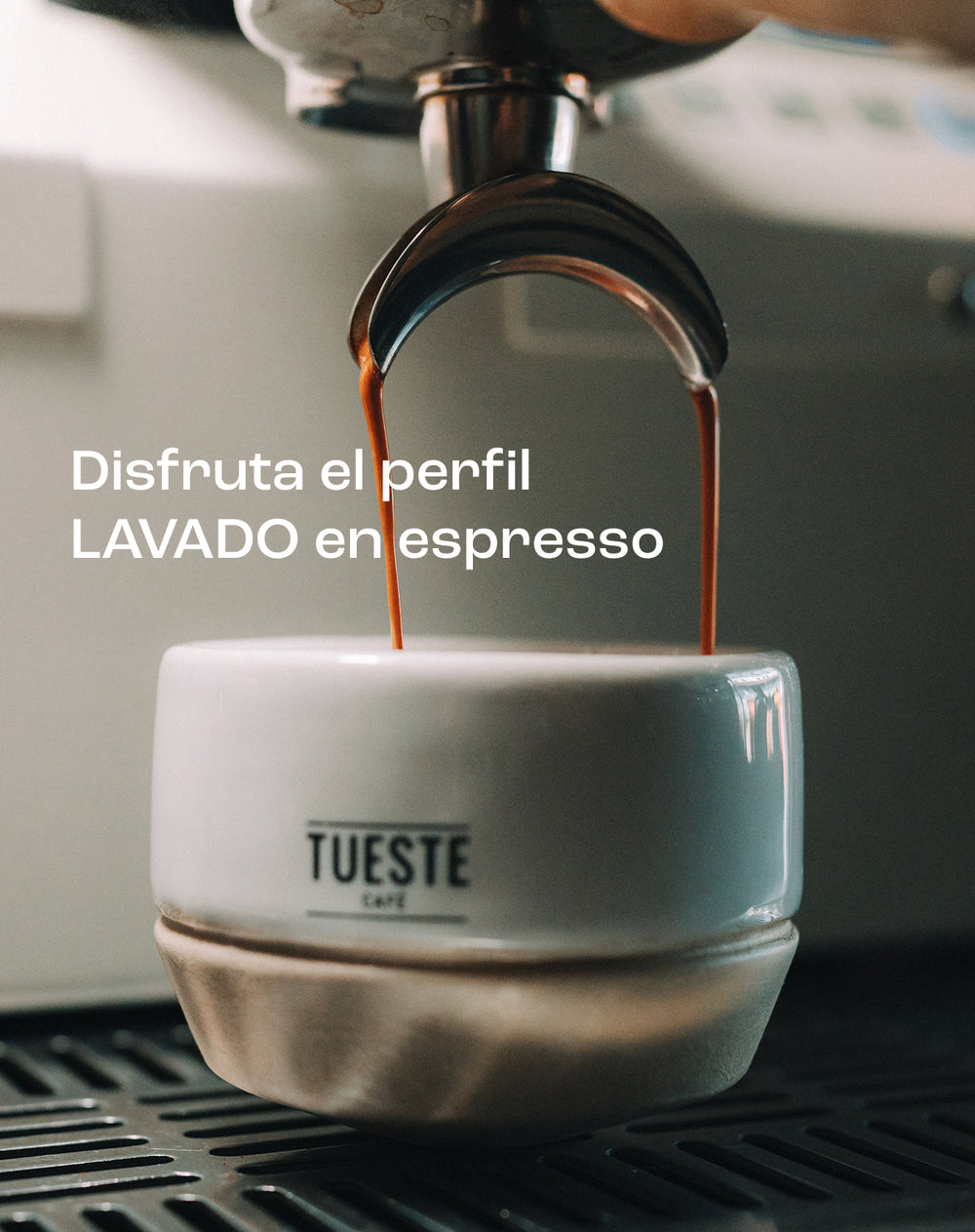 Café de Especialidad Lavado