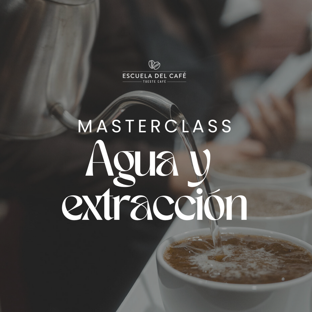 Masterclass: Agua y extracción