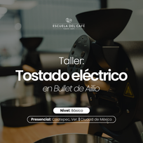 Taller: Tostado eléctrico