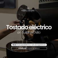 Tostado eléctrico avanzado