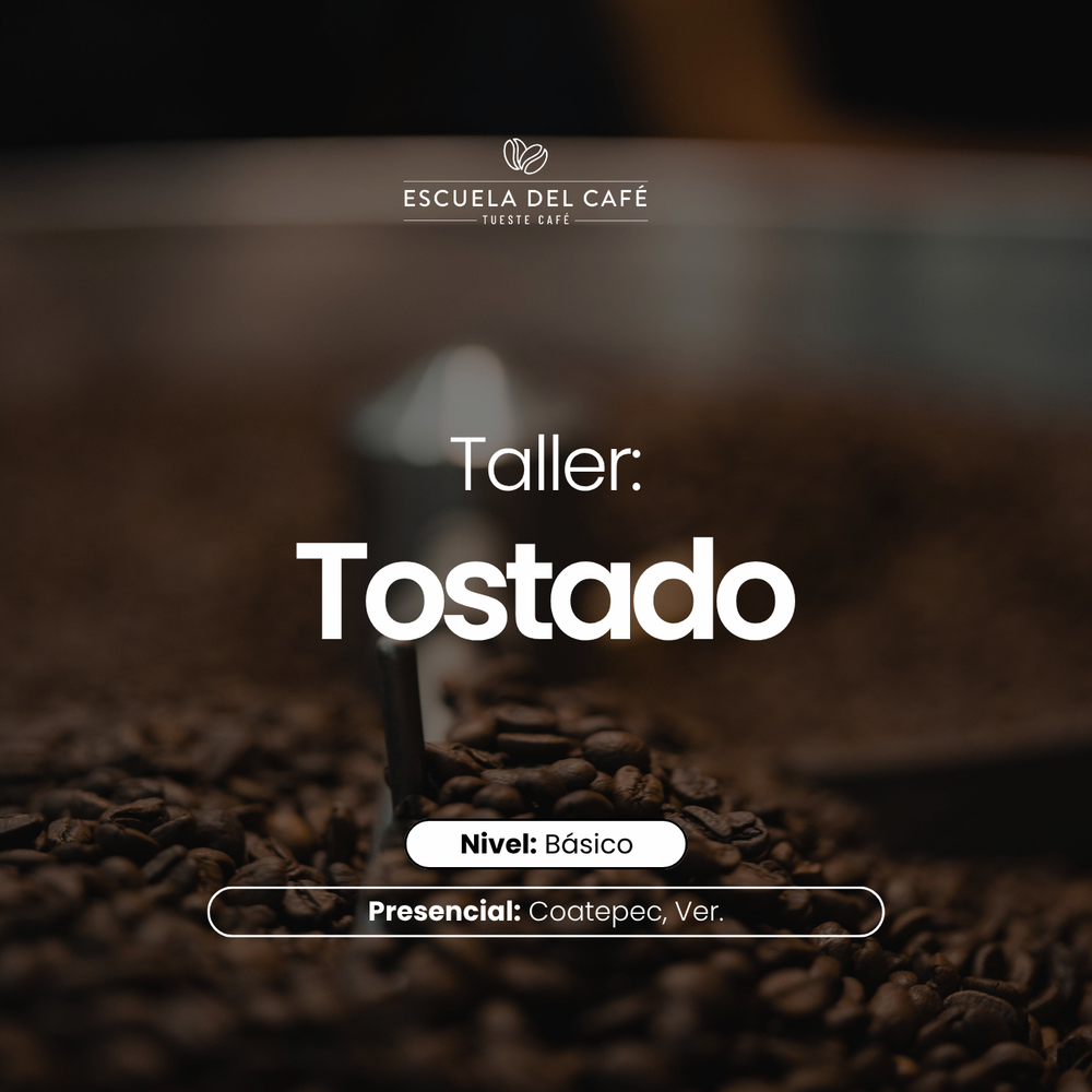 Taller: Tostado básico