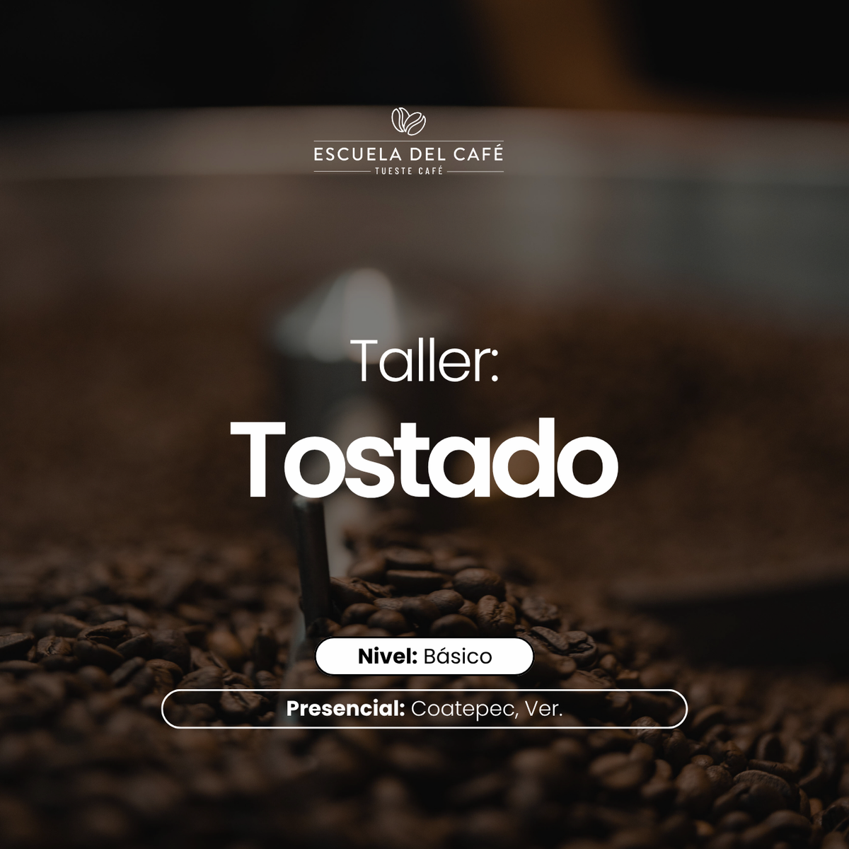 Taller: Tostado básico