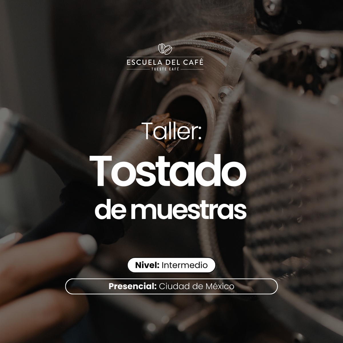 Taller: Tostado de muestras