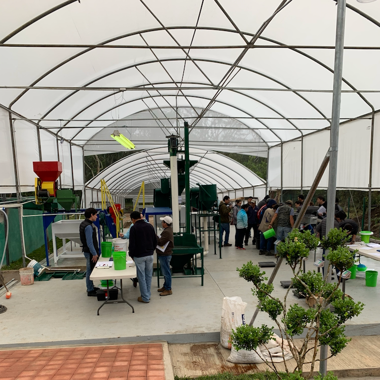 Beneficio Húmedo