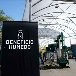 Beneficio Húmedo